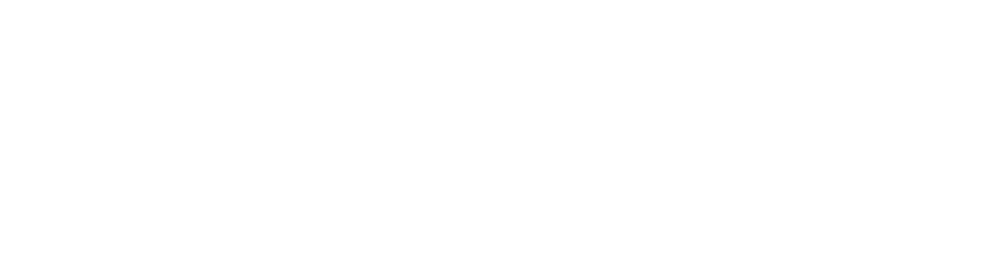 Duluth Forge Fireplaces Logo